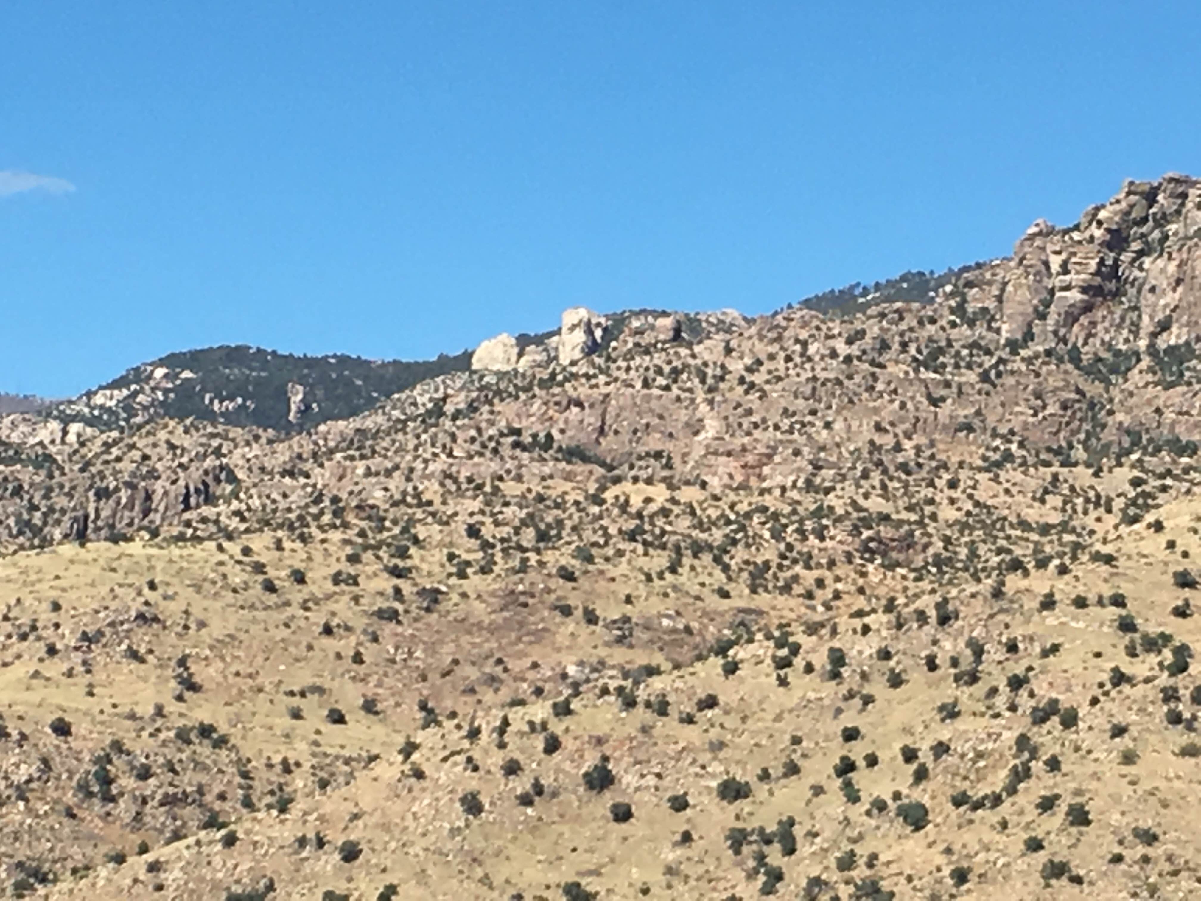 Camper-submitted photo at Gordon Hirabayashi Campground near Oro Valley, AZ