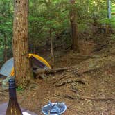 Review photo of White River Campground — Mount Rainier National Park by Scott T., July 28, 2018