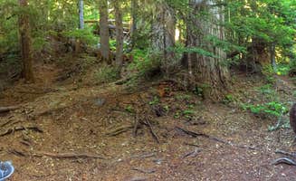 Scott T.'s photo at White River Campground — Mount Rainier National Park near Mount Rainier National Park