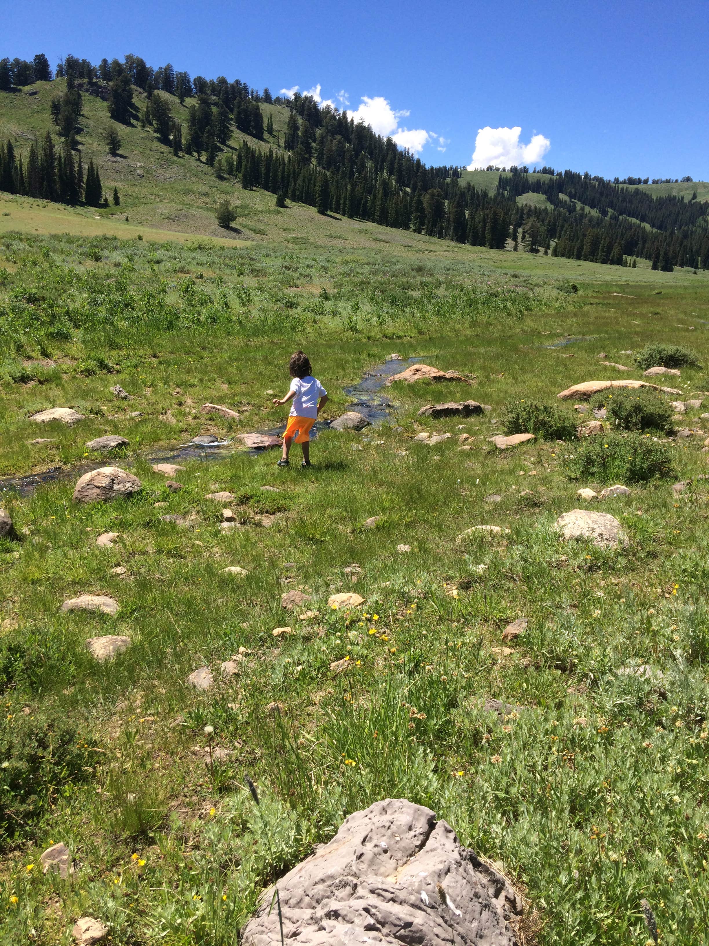 Camper submitted image from Egan Basin Guard Station - 3