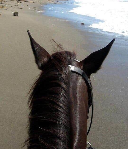 Camper-submitted photo at Ocean City State Park Campground near Ocean Park, WA