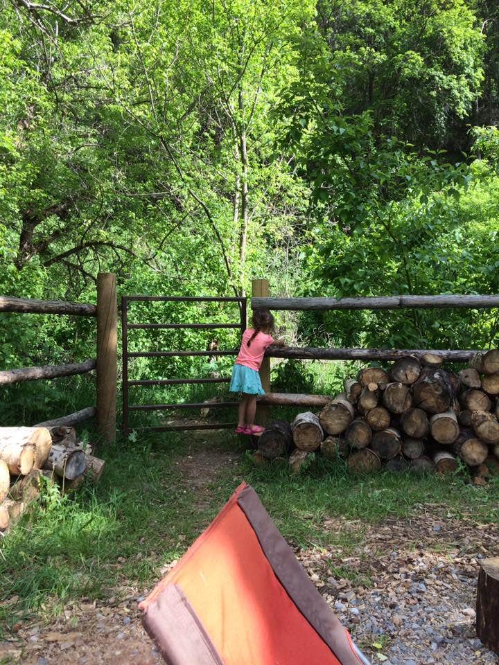 Camper submitted image from Blacksmith Fork Guard Station - 5