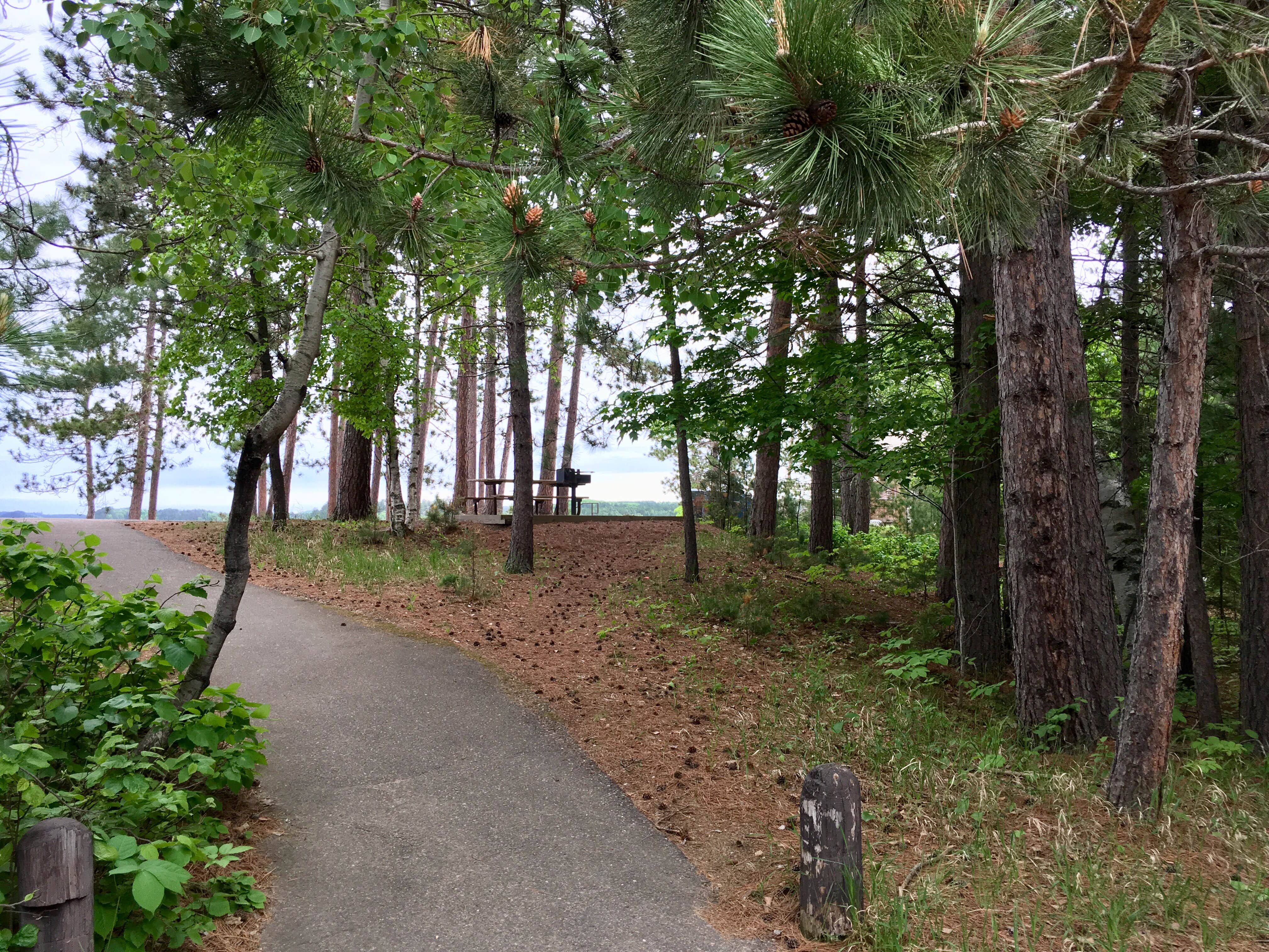 Camper-submitted photo at Side Lake Campground — McCarthy Beach State Park near Chisholm, MN