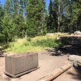Review photo of Jenny Lake Campground — Grand Teton National Park by Lissa G., July 28, 2018