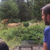 Review photo of Jenny Lake Campground — Grand Teton National Park by Lissa G., July 28, 2018