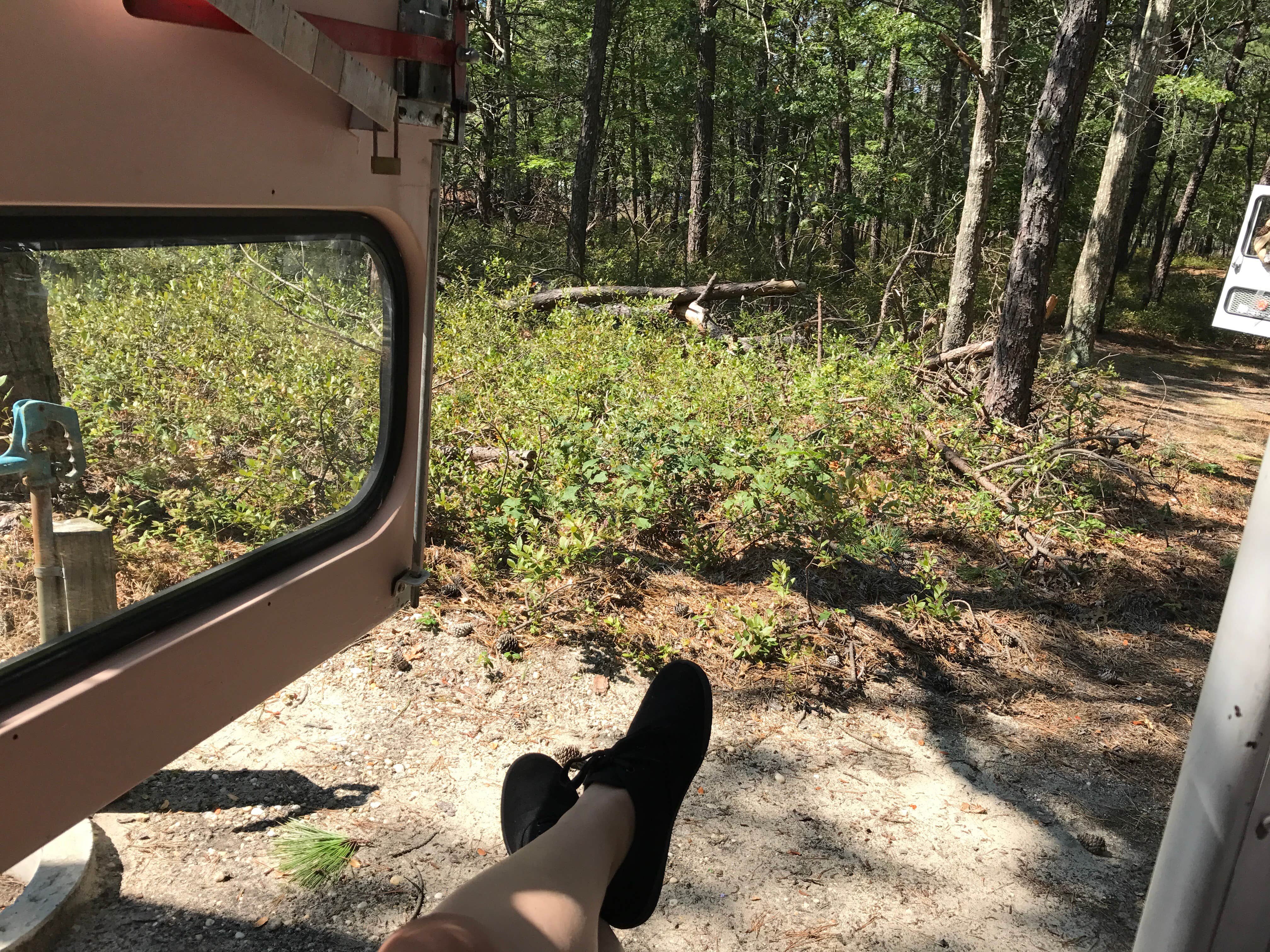 Camper submitted image from Sears Bellows County Park - 2