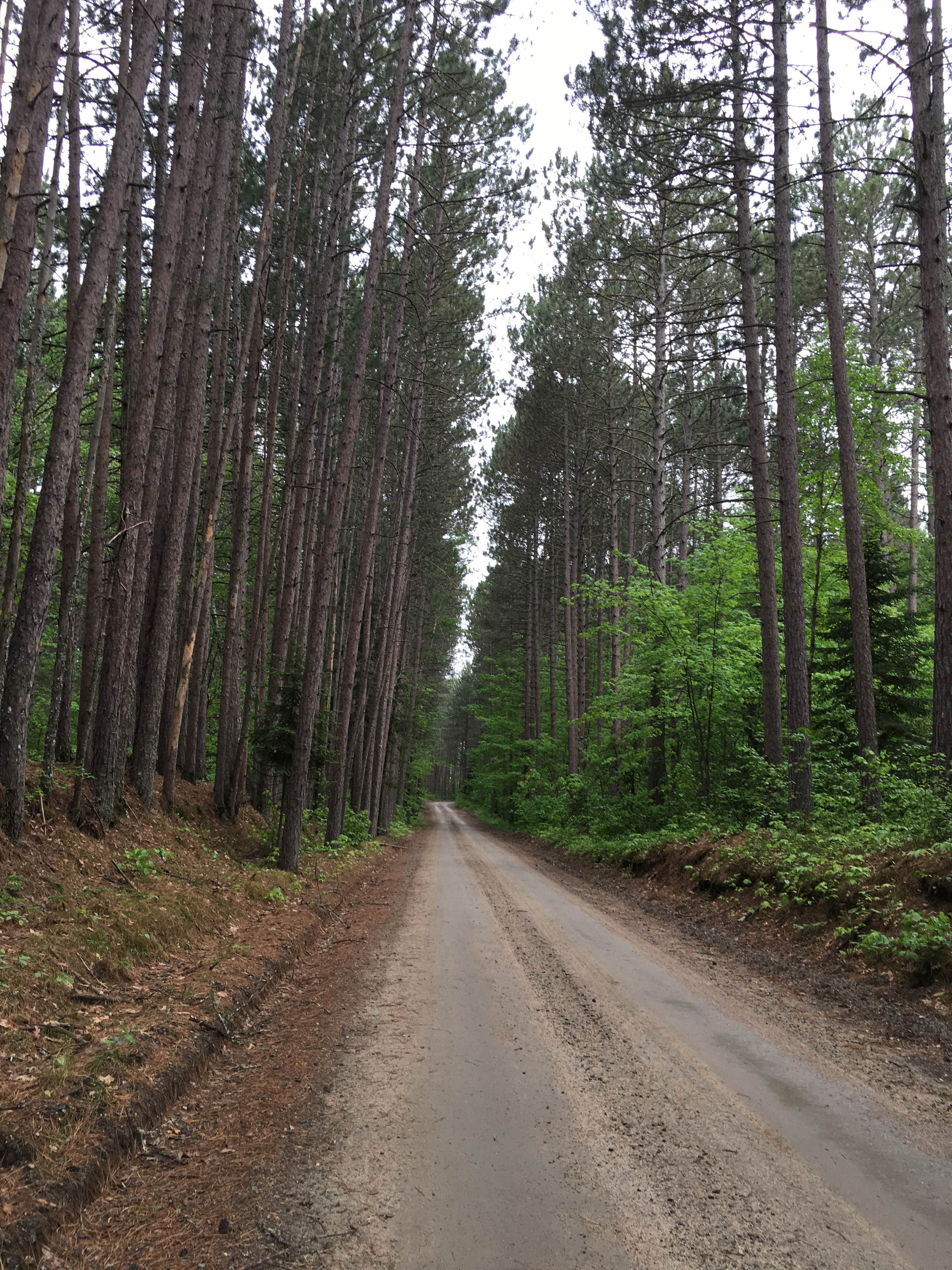 Camper submitted image from Beatrice Lake Campground — McCarthy Beach State Park - 3