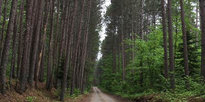 Roads
