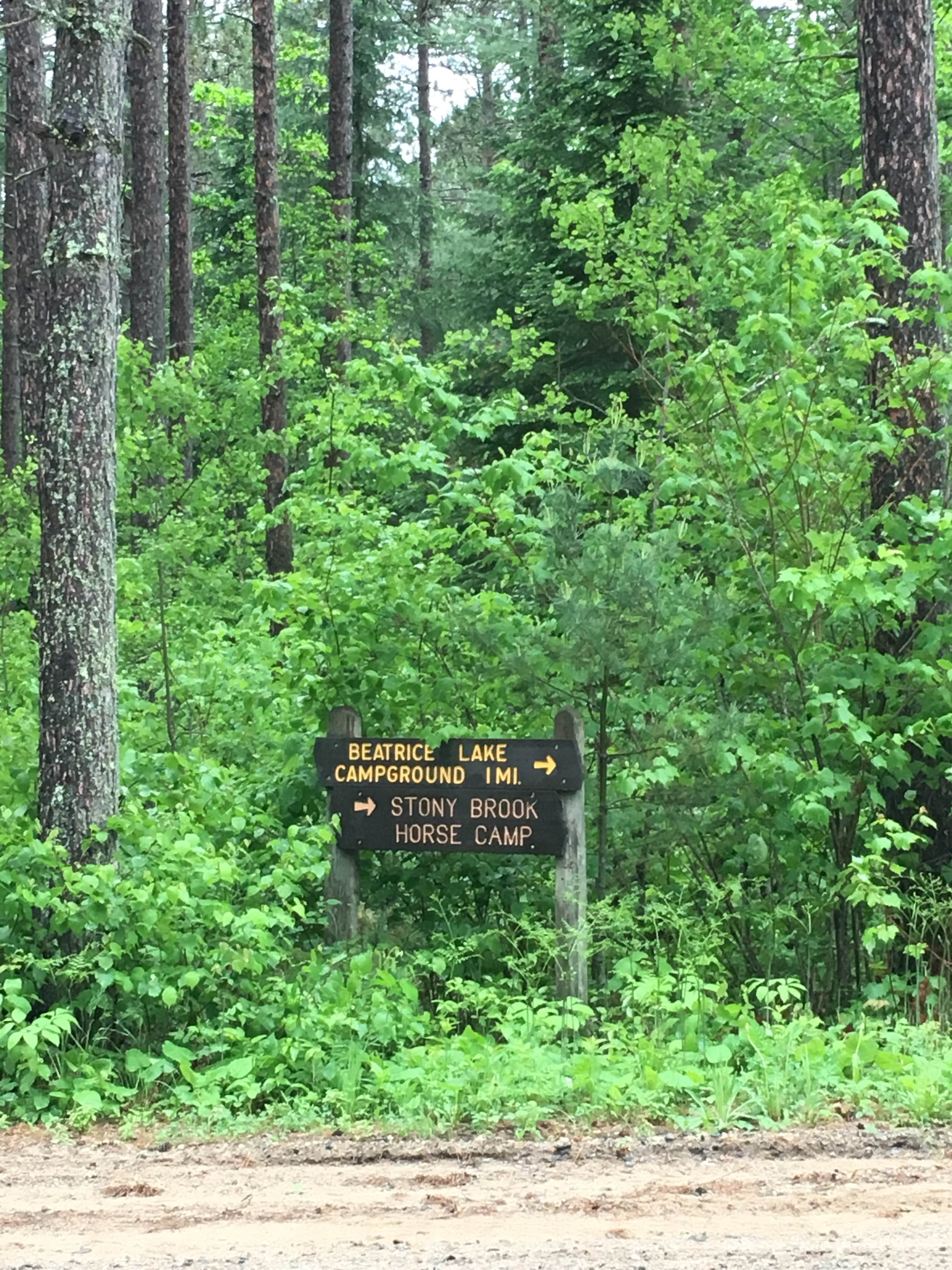 Camper submitted image from Beatrice Lake Campground — McCarthy Beach State Park - 5