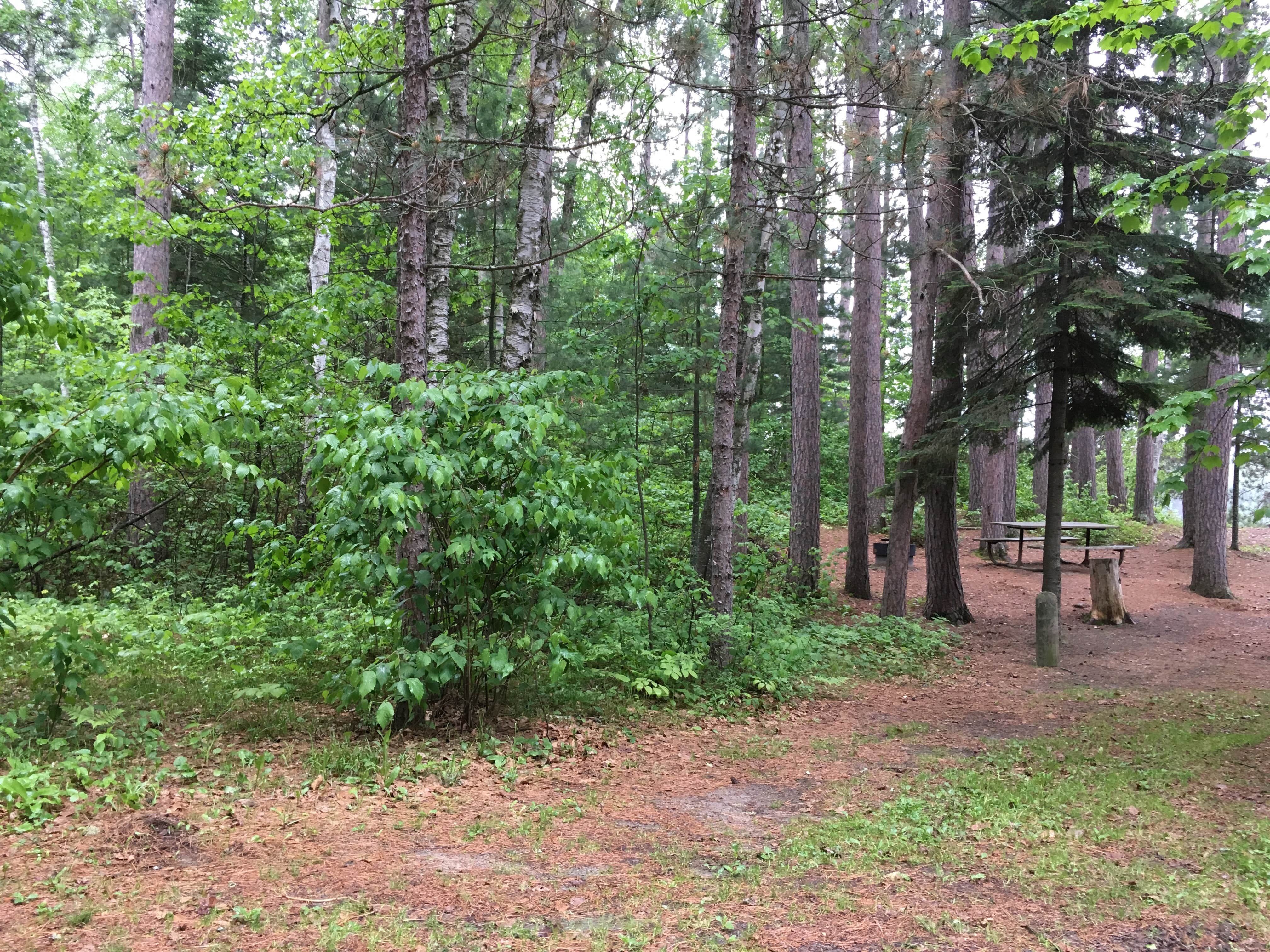 Camper submitted image from Beatrice Lake Campground — McCarthy Beach State Park - 2