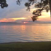 Review photo of Lake Livingston State Park Campground by Mary A., July 29, 2018