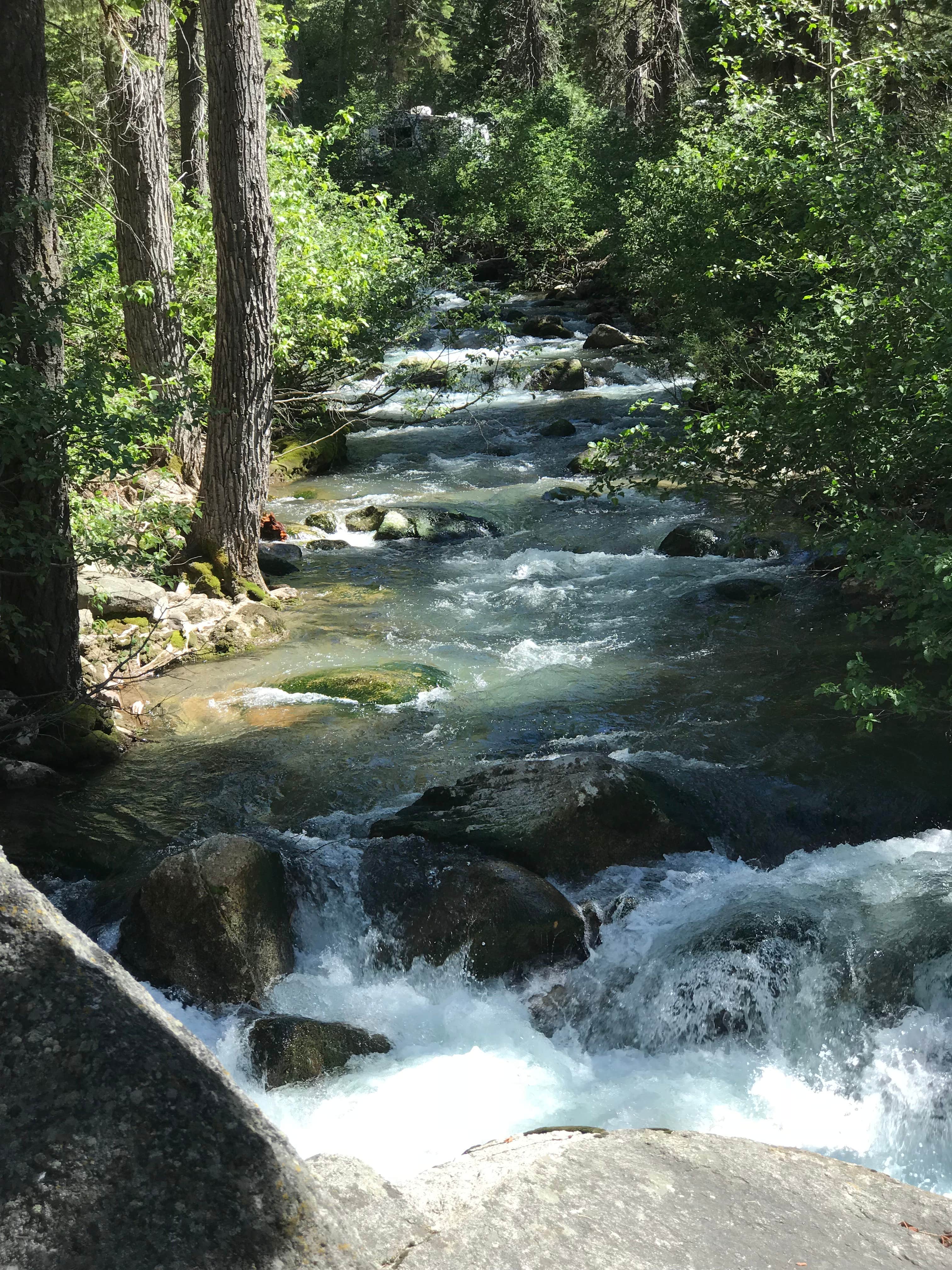 Kennedy Meadows Campground The Dyrt