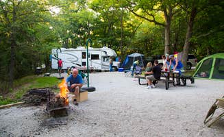 Meg S.'s photo at Coon Creek (IL) near Neoga, IL