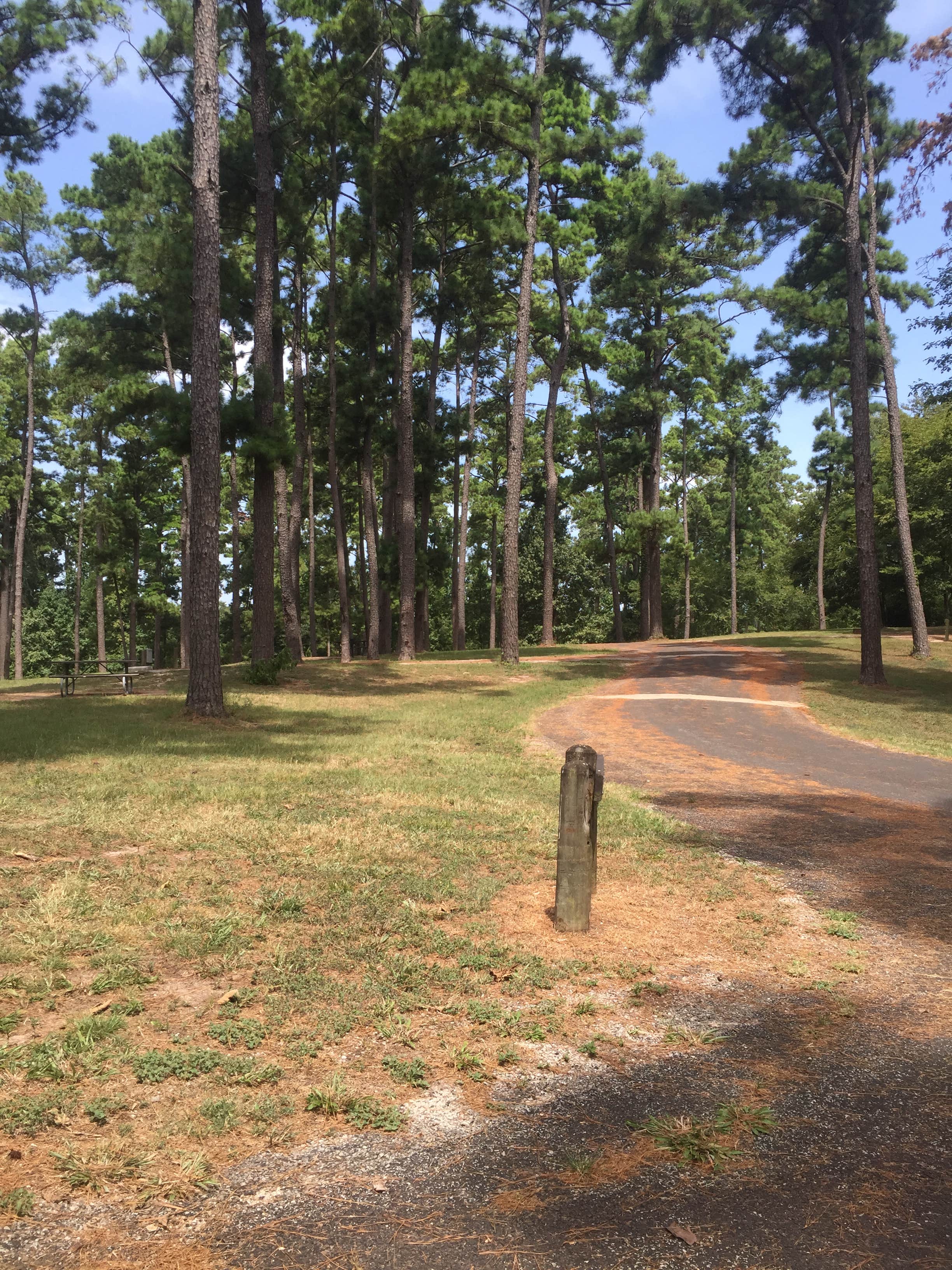 Camper submitted image from Wolf Creek Park - 2