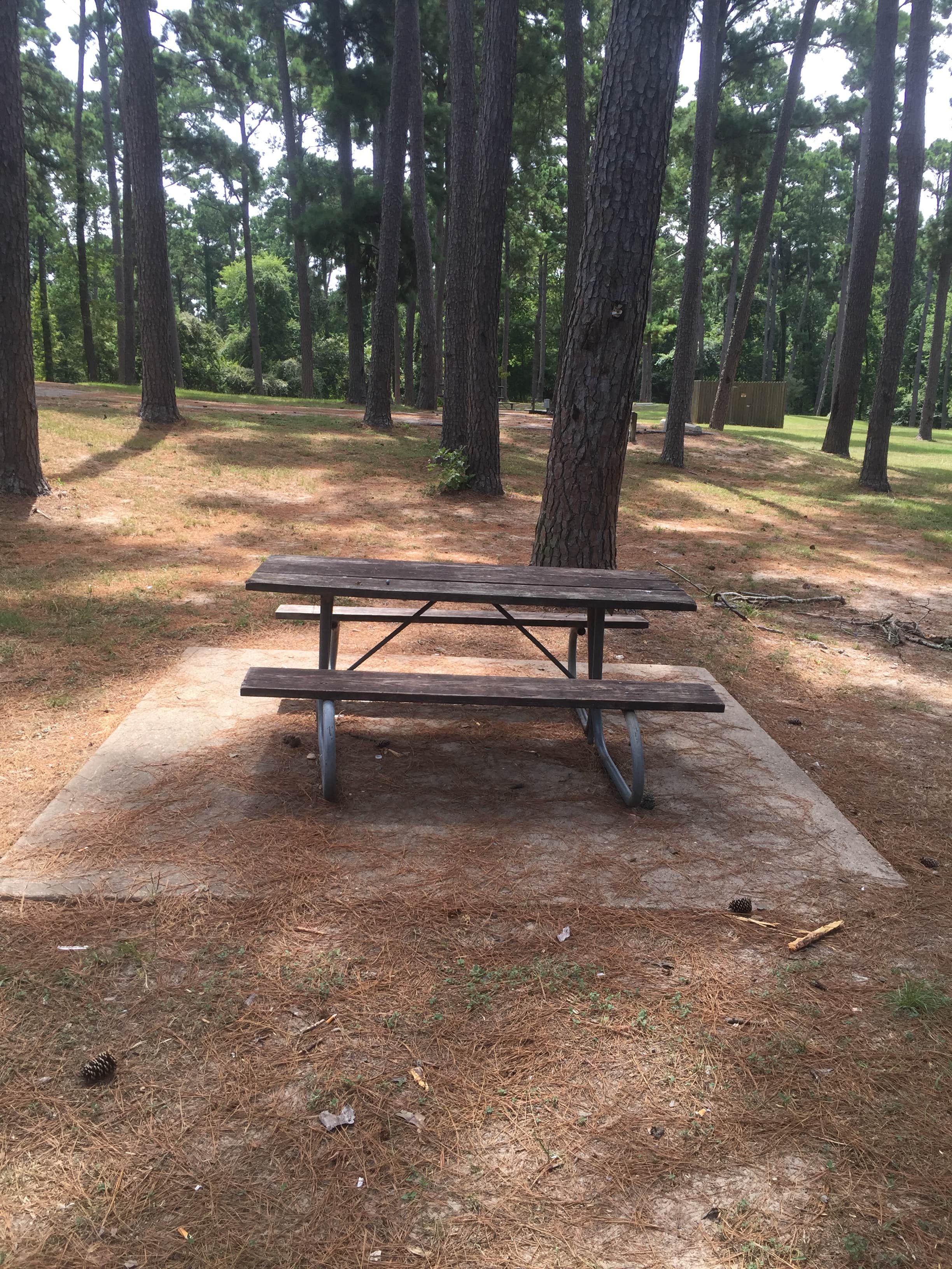 Camper submitted image from Wolf Creek Park - 3