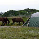 Review photo of Assateague State Park Campground by Jennifer R., July 29, 2018