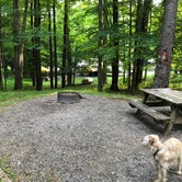 Review photo of Canaan Valley Resort State Park Campground by Jim C., July 29, 2018