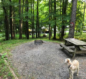 Camper-submitted photo from Canaan Valley Resort State Park Campground