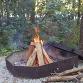Review photo of Tugaloo State Park Campground by Jamie M., July 29, 2018