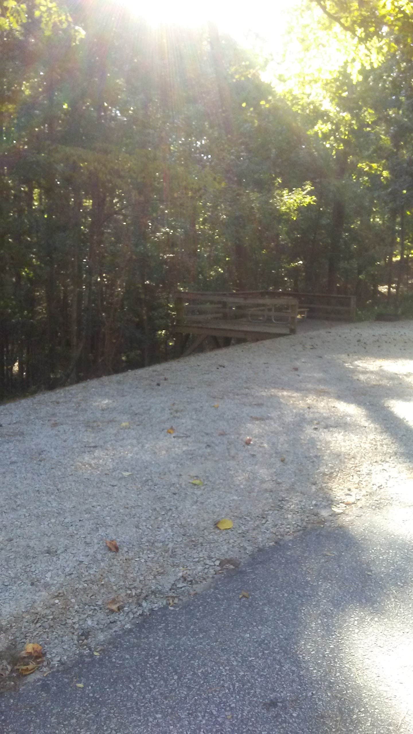Camper submitted image from Tugaloo State Park Campground - 3