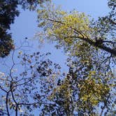 Review photo of Tugaloo State Park Campground by Jamie M., July 29, 2018