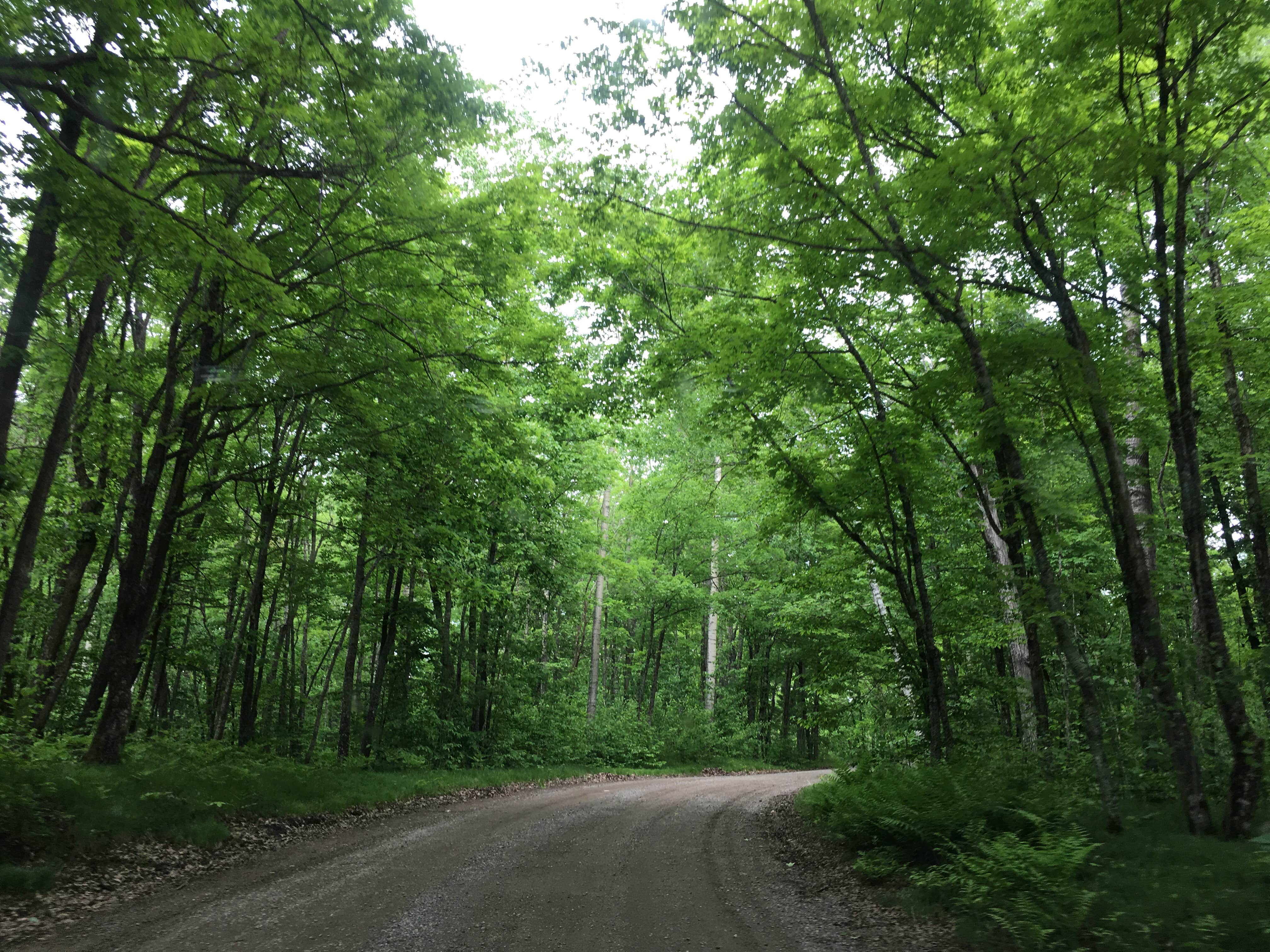 Camper submitted image from Savanna Portage State Park Campground - 4