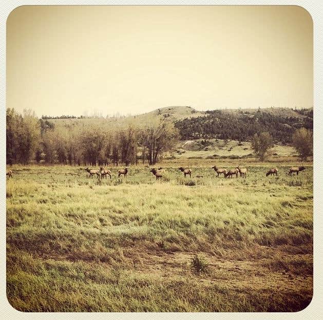 Camper-submitted photo at James Kipp Campground near Winifred, MT