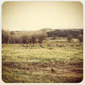 Review photo of James Kipp Campground by Lindsay B., June 10, 2015