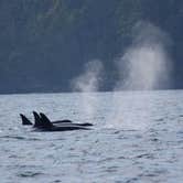 Review photo of San Juan County Park by Carla S., July 28, 2016