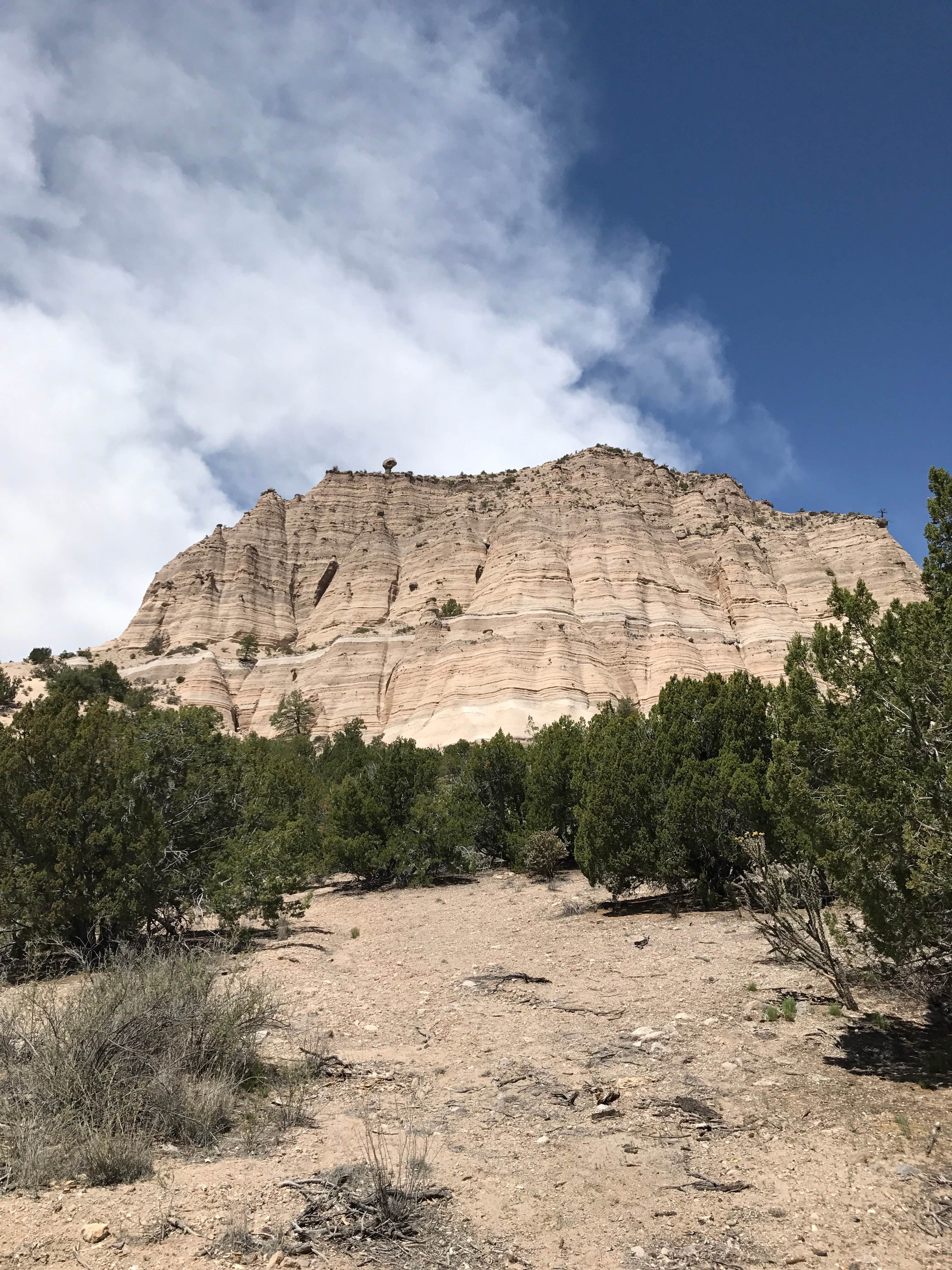 Camper submitted image from Cochiti Recreation Area - 2