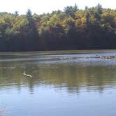 Review photo of Fort Mountain State Park Campground by Jamie M., July 29, 2018