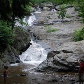 Review photo of Manor - Cunningham Falls State Park by Jennifer R., July 29, 2018