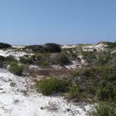 Review photo of Fort Pickens Campground — Gulf Islands National Seashore by Jamie M., July 29, 2018
