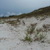 Review photo of Fort Pickens Campground — Gulf Islands National Seashore by Jamie M., July 29, 2018