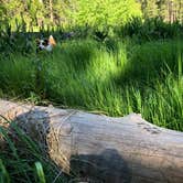 Review photo of North Grove Campground — Calaveras Big Trees State Park by Cheyenne O., July 29, 2018