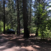 Review photo of Calaveras Big Trees State Park Campground by Cheyenne O., July 29, 2018