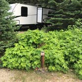 Review photo of Lone Fir Campground by Kathee M., July 29, 2018