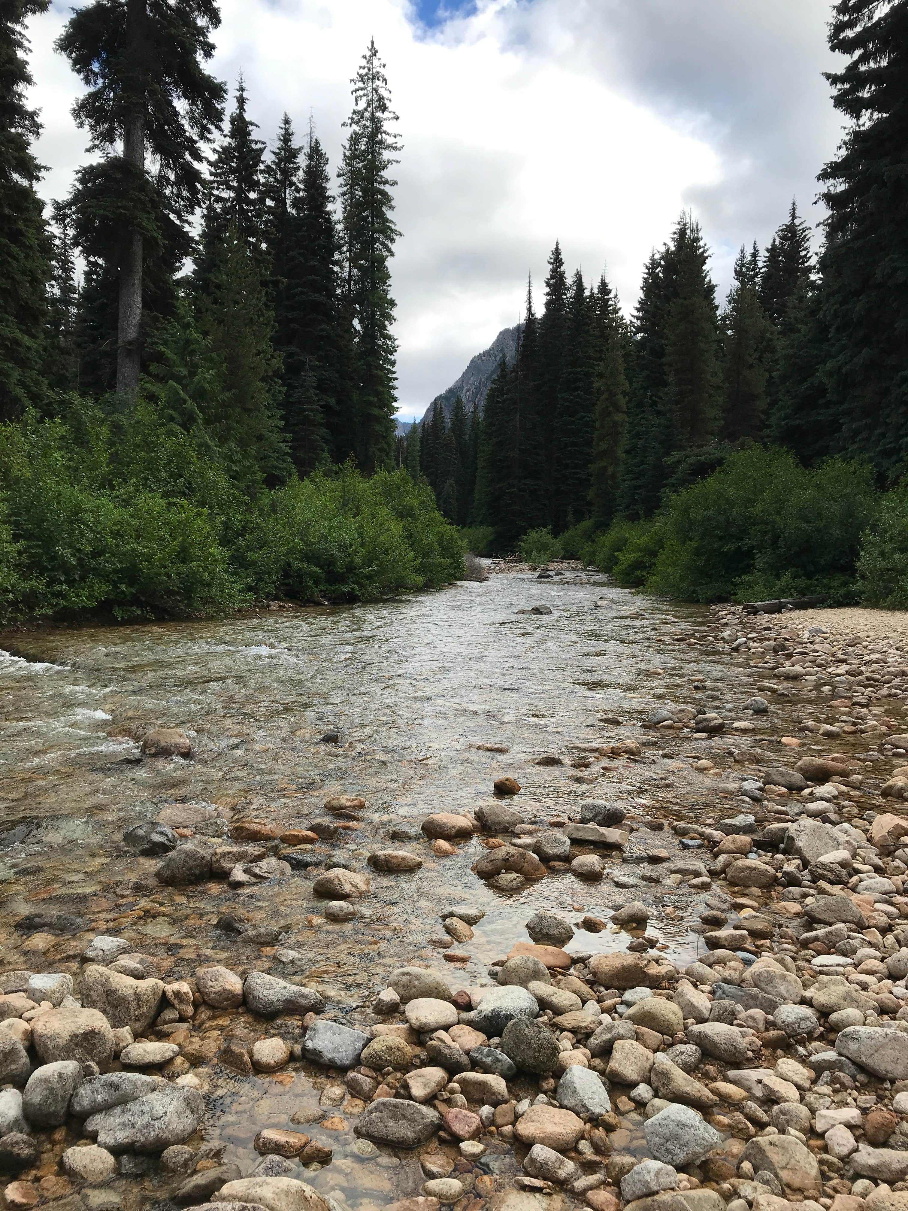 Camper-submitted photo at Lone Fir Campground near Stehekin, WA