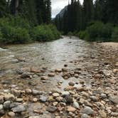 Review photo of Lone Fir Campground by Kathee M., July 29, 2018