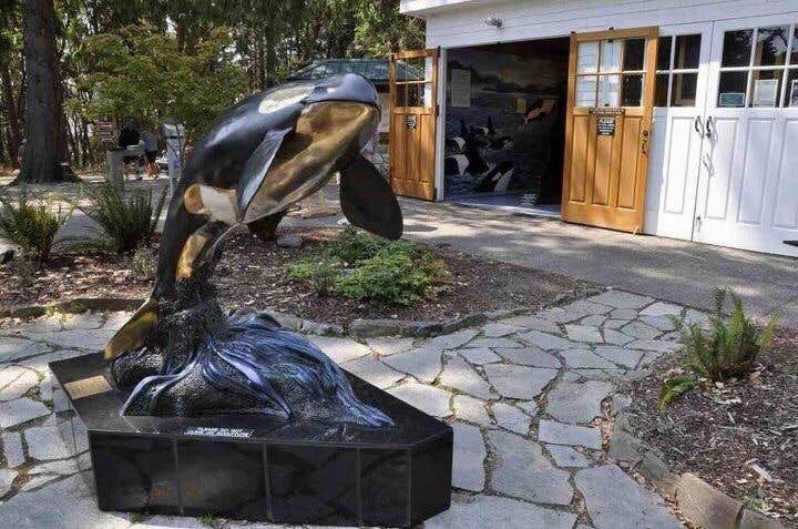 Camper-submitted photo at San Juan County Park near Eastsound, WA