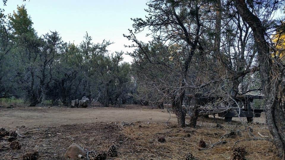 Camper-submitted photo at Tanglewood Group Campground near Daggett, CA