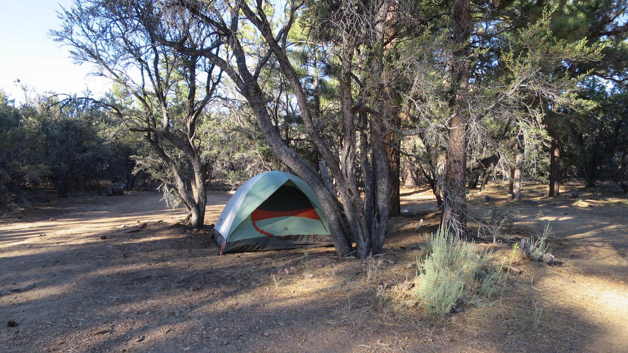 Camping near Camp Durrwood: Tanglewood Group Campground, Big Bear Lake, California