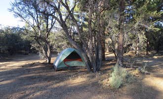 Camping near Holcomb Valley Ranch: Tanglewood Group Campground, Big Bear Lake, California