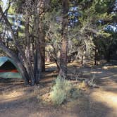 Review photo of Tanglewood Group Campground by Mon M., July 29, 2018