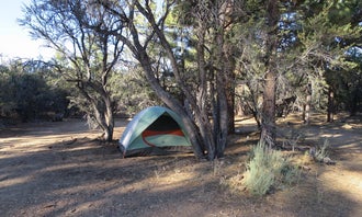 Camping near Holcomb Valley Ranch: Tanglewood Group Campground, Big Bear Lake, California