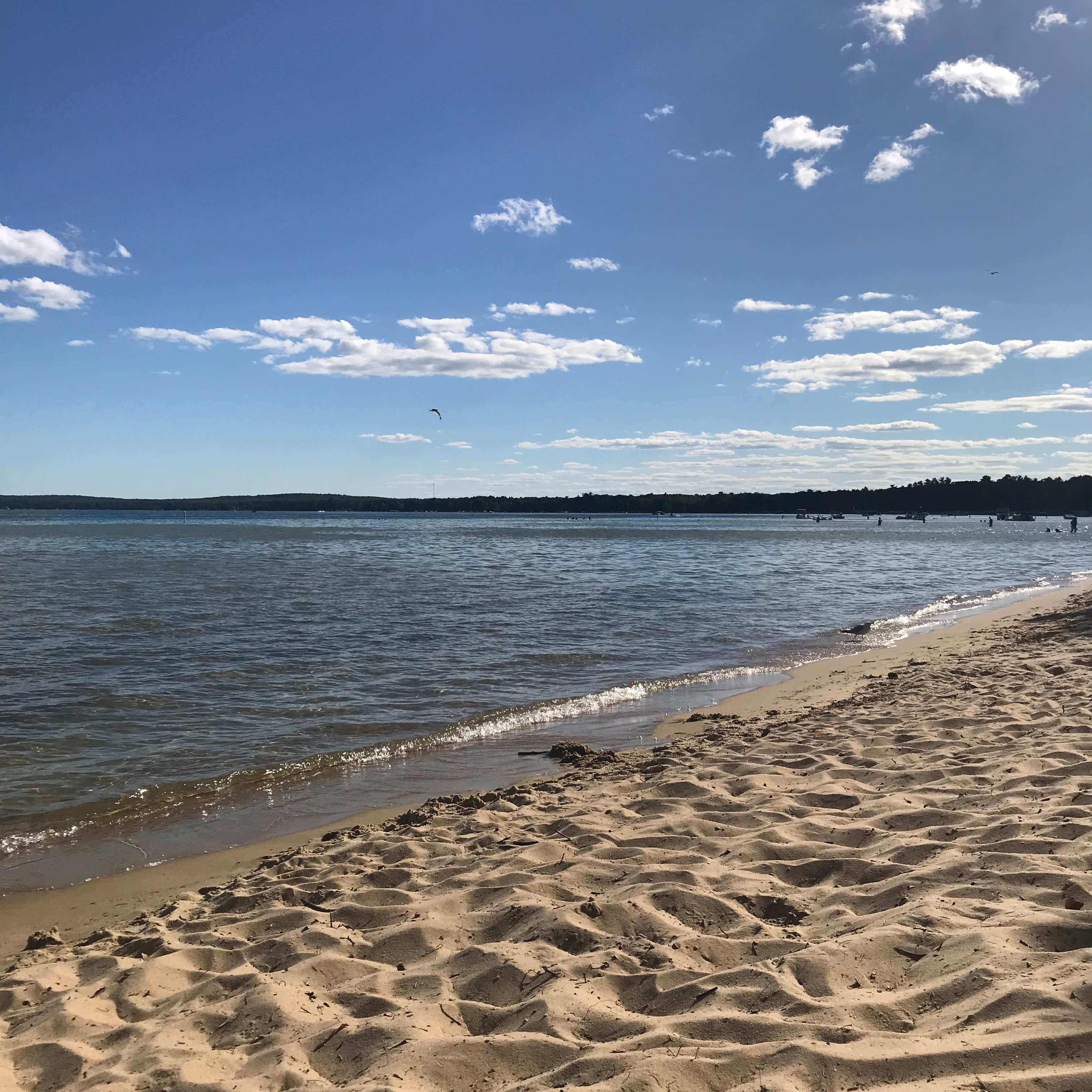 Escape to Serenity: Your Guide to Michigan's North Higgins Lake State Park