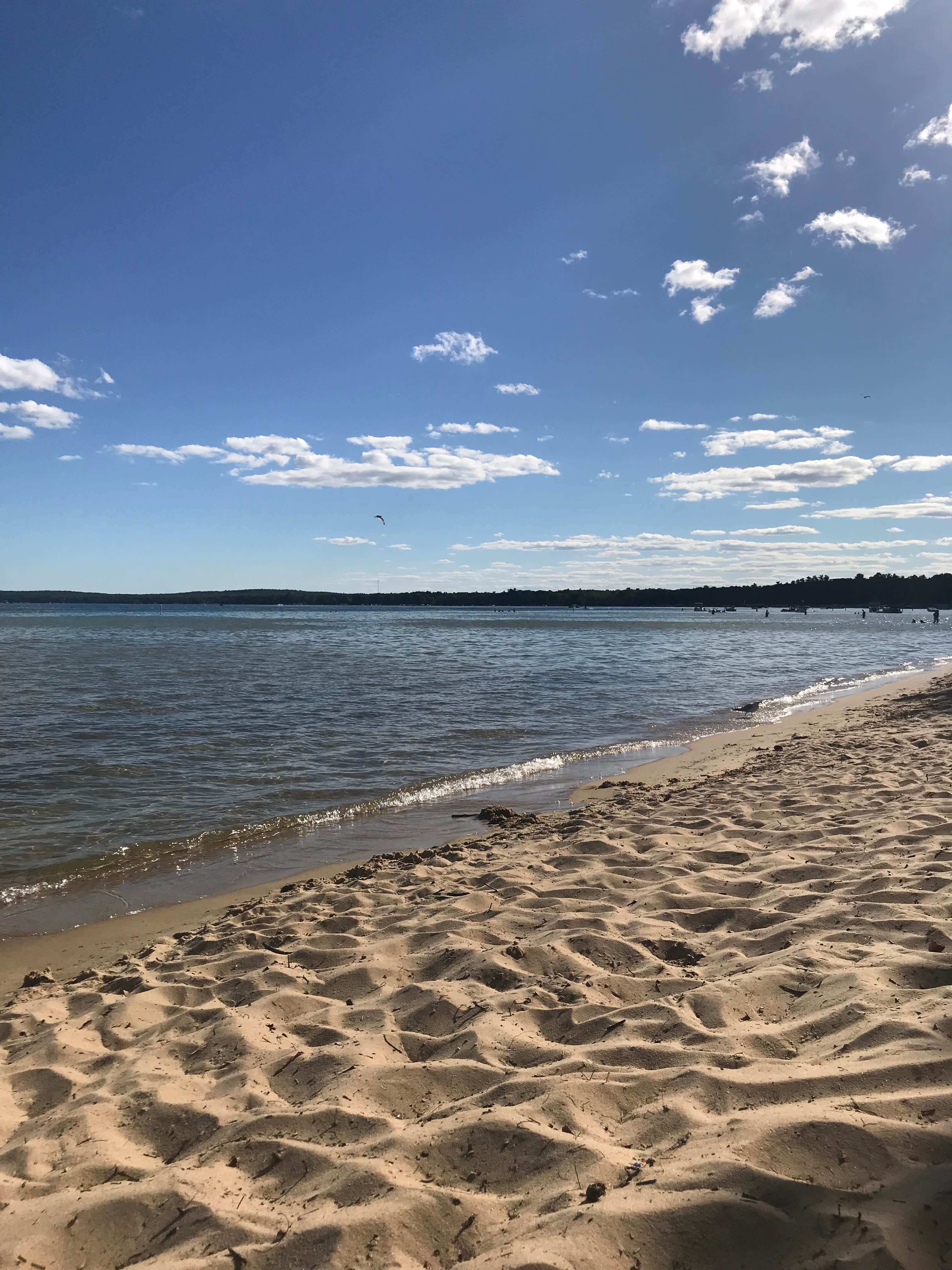 Camper submitted image from North Higgins Lake State Park Campground - 4