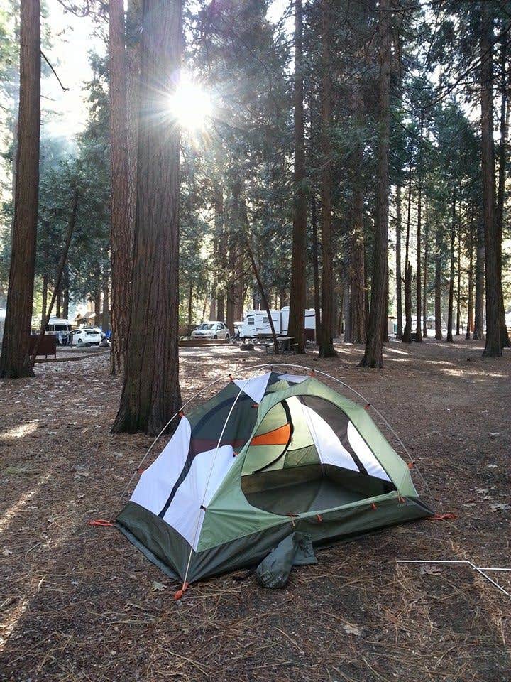 North Pines Campground in Yosemite National Park, California