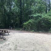 Review photo of Dogwood Campground — O'Leno State Park by Shelly S., July 29, 2018