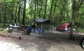 Shelly S.'s photo at Dogwood Campground — O'Leno State Park near Osceola National Forest